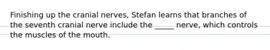 Finishing up the cranial nerves, Stefan learns that branches of the seventh cranial nerve include the _____ nerve, which controls the muscles of the mouth.