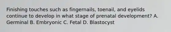 Finishing touches such as fingernails, toenail, and eyelids continue to develop in what stage of prenatal development? A. Germinal B. Embryonic C. Fetal D. Blastocyst