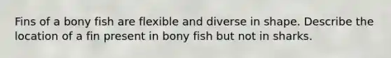 Fins of a bony fish are flexible and diverse in shape. Describe the location of a fin present in bony fish but not in sharks.