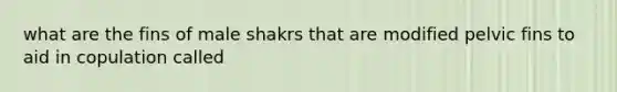 what are the fins of male shakrs that are modified pelvic fins to aid in copulation called