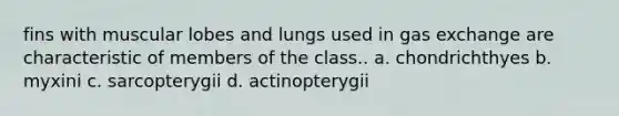 fins with muscular lobes and lungs used in gas exchange are characteristic of members of the class.. a. chondrichthyes b. myxini c. sarcopterygii d. actinopterygii