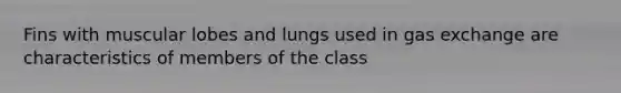 Fins with muscular lobes and lungs used in gas exchange are characteristics of members of the class