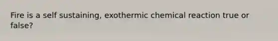 Fire is a self sustaining, exothermic chemical reaction true or false?