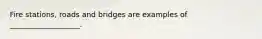 Fire stations, roads and bridges are examples of ___________________.