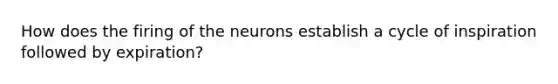 How does the firing of the neurons establish a cycle of inspiration followed by expiration?