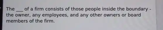 The ___ of a firm consists of those people inside the boundary - the owner, any employees, and any other owners or board members of the firm.