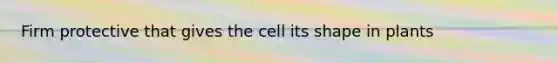 Firm protective that gives the cell its shape in plants