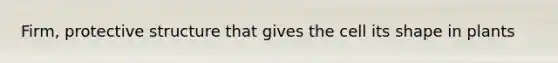 Firm, protective structure that gives the cell its shape in plants
