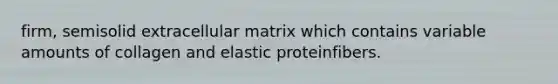 firm, semisolid extracellular matrix which contains variable amounts of collagen and elastic proteinfibers.