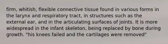 firm, whitish, flexible connective tissue found in various forms in the larynx and respiratory tract, in structures such as the external ear, and in the articulating surfaces of joints. It is more widespread in the infant skeleton, being replaced by bone during growth. "his knees failed and the cartilages were removed"