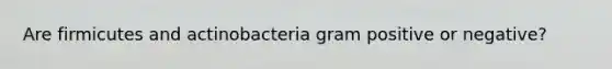 Are firmicutes and actinobacteria gram positive or negative?