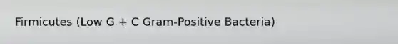 Firmicutes (Low G + C Gram-Positive Bacteria)