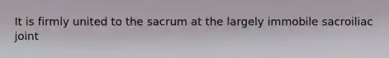 It is firmly united to the sacrum at the largely immobile sacroiliac joint