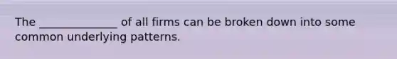 The ______________ of all firms can be broken down into some common underlying patterns.