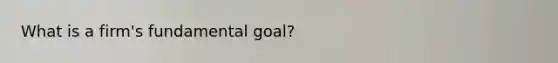 What is a firm's fundamental goal?