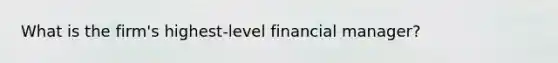 What is the firm's highest-level financial manager?