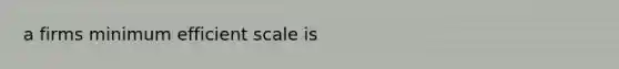 a firms minimum efficient scale is