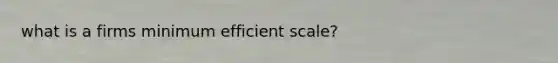 what is a firms minimum efficient scale?