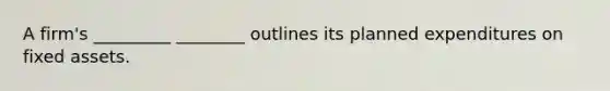 A firm's _________ ________ outlines its planned expenditures on fixed assets.