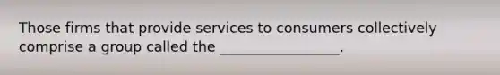 Those firms that provide services to consumers collectively comprise a group called the _________________.