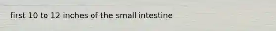 first 10 to 12 inches of the small intestine