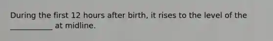 During the first 12 hours after birth, it rises to the level of the ___________ at midline.