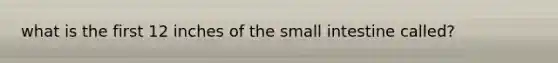 what is the first 12 inches of the small intestine called?