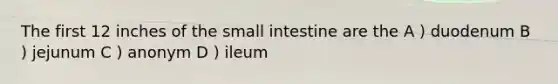 The first 12 inches of <a href='https://www.questionai.com/knowledge/kt623fh5xn-the-small-intestine' class='anchor-knowledge'>the small intestine</a> are the A ) duodenum B ) jejunum C ) anonym D ) ileum