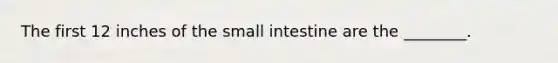 The first 12 inches of the small intestine are the ________.