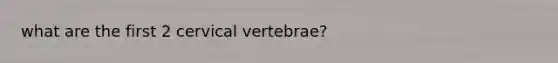 what are the first 2 cervical vertebrae?