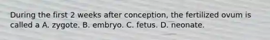 During the first 2 weeks after conception, the fertilized ovum is called a A. zygote. B. embryo. C. fetus. D. neonate.