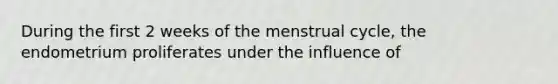 During the first 2 weeks of the menstrual cycle, the endometrium proliferates under the influence of