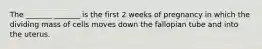 The _______ _______ is the first 2 weeks of pregnancy in which the dividing mass of cells moves down the fallopian tube and into the uterus.