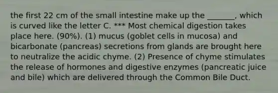 the first 22 cm of the small intestine make up the _______, which is curved like the letter C. *** Most chemical digestion takes place here. (90%). (1) mucus (goblet cells in mucosa) and bicarbonate (pancreas) secretions from glands are brought here to neutralize the acidic chyme. (2) Presence of chyme stimulates the release of hormones and digestive enzymes (pancreatic juice and bile) which are delivered through the Common Bile Duct.