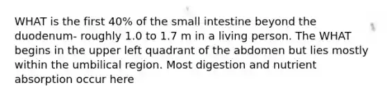 WHAT is the first 40% of the small intestine beyond the duodenum- roughly 1.0 to 1.7 m in a living person. The WHAT begins in the upper left quadrant of the abdomen but lies mostly within the umbilical region. Most digestion and nutrient absorption occur here