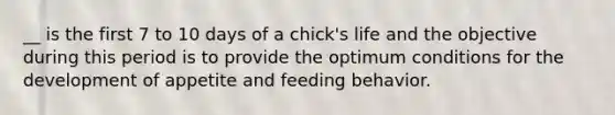 __ is the first 7 to 10 days of a chick's life and the objective during this period is to provide the optimum conditions for the development of appetite and feeding behavior.