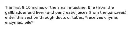 The first 9-10 inches of the small intestine. Bile (from the gallbladder and liver) and pancreatic juices (from the pancreas) enter this section through ducts or tubes; *receives chyme, enzymes, bile*