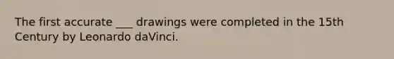 The first accurate ___ drawings were completed in the 15th Century by Leonardo daVinci.