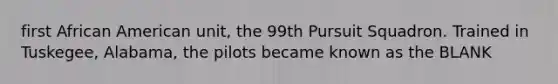 first African American unit, the 99th Pursuit Squadron. Trained in Tuskegee, Alabama, the pilots became known as the BLANK