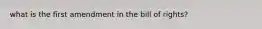 what is the first amendment in the bill of rights?
