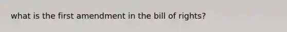 what is the first amendment in the bill of rights?