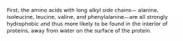 First, the amino acids with long alkyl side chains— alanine, isoleucine, leucine, valine, and phenylalanine—are all strongly hydrophobic and thus more likely to be found in the interior of proteins, away from water on the surface of the protein.