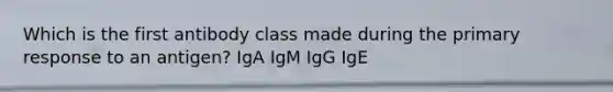 Which is the first antibody class made during the primary response to an antigen? IgA IgM IgG IgE