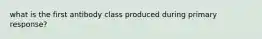 what is the first antibody class produced during primary response?