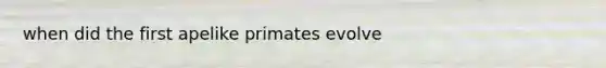 when did the first apelike primates evolve