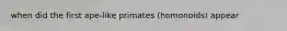 when did the first ape-like primates (homonoids) appear