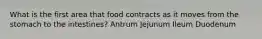 What is the first area that food contracts as it moves from the stomach to the intestines? Antrum Jejunum Ileum Duodenum