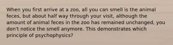 When you first arrive at a zoo, all you can smell is the animal feces, but about half way through your visit, although the amount of animal feces in the zoo has remained unchanged, you don't notice the smell anymore. This demonstrates which principle of psychophysics?