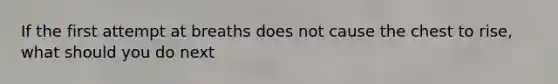 If the first attempt at breaths does not cause the chest to rise, what should you do next