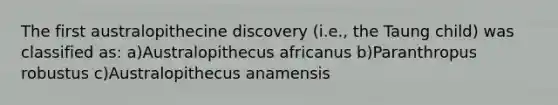 The first australopithecine discovery (i.e., the Taung child) was classified as: a)Australopithecus africanus b)Paranthropus robustus c)Australopithecus anamensis